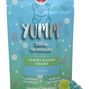 Yumm Bear Indica