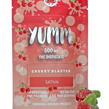Yumm Cherry Blaster Indica