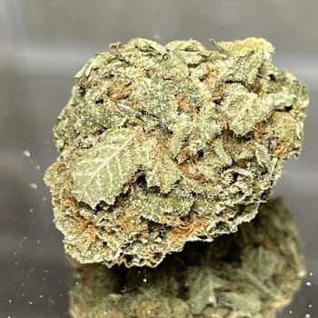 crazy dream - kushzilla