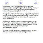 🍊ORANGE POP 🎊 -Hybrid – THC 27% - 1/4Oz = 55$