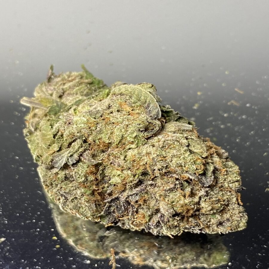 King of Kush -  Hybrid 90% Indica / 10% Sativa - THC 28%