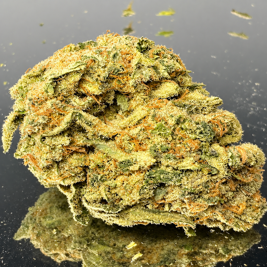 (SOLD OUT) Jamaican Pearl - Hybrid 60% Indica / 40% Sativa - THC 29%