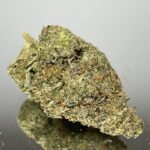 Amnesia Haze - Hybrid 70% Sativa/30% Indica - THC 28 %
