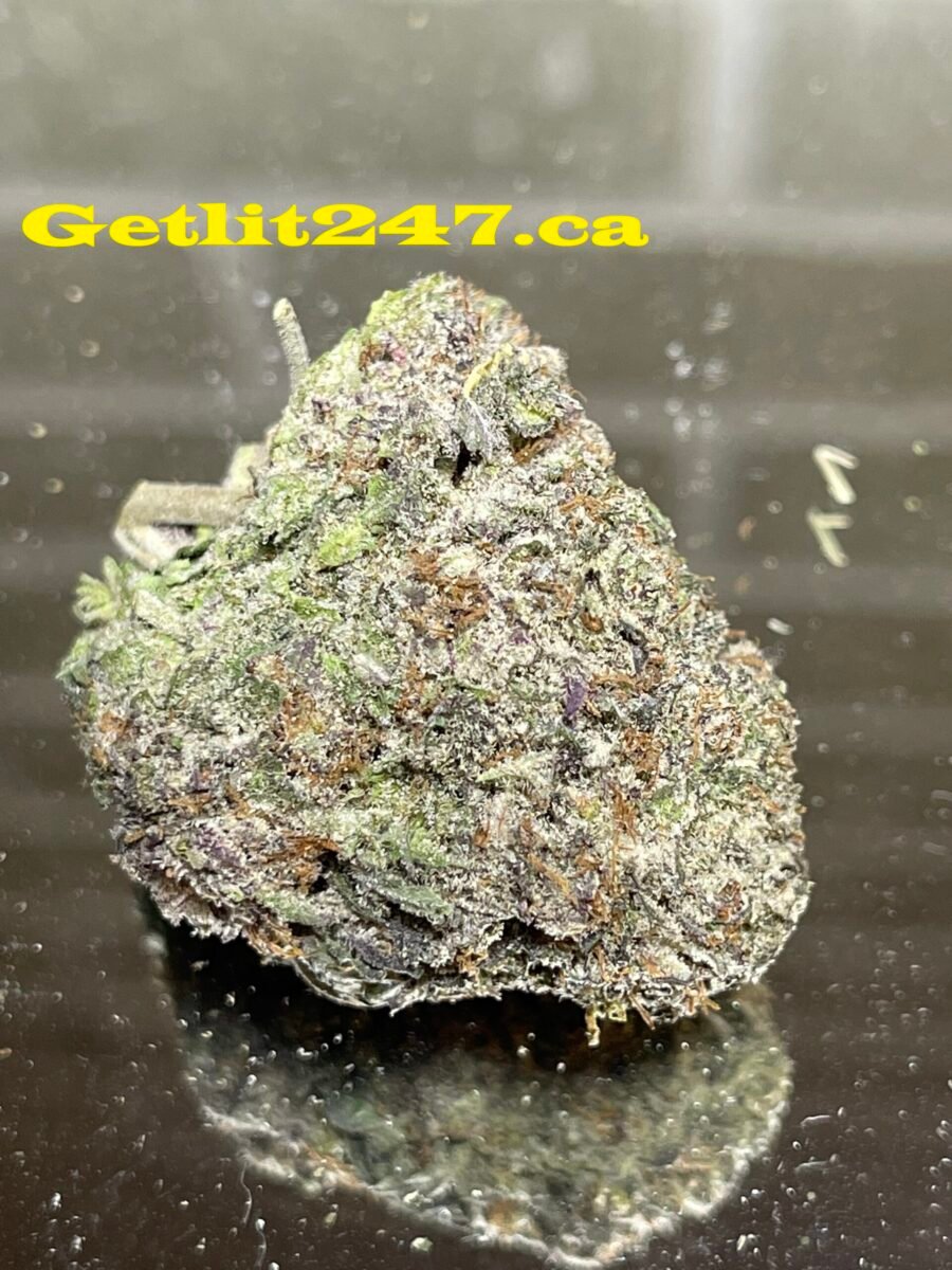 "Premium" Alien Cookies - Hybrid - THC 31%