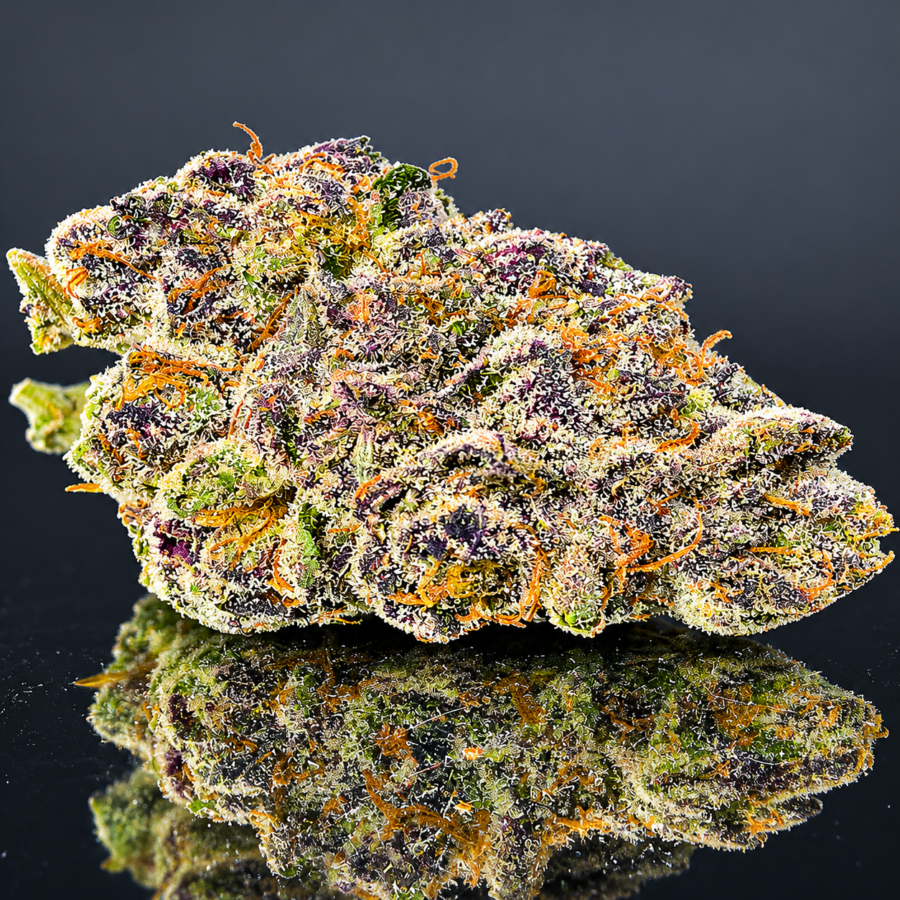 "Premium" CRESCENDO XI - Hybrid 80% Sativa / 20% Indica - THC 30-35%