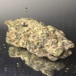 "Premium" Platinum Zkittlez - Hybrid 60%Indica/ 40% Sativa - THC 32-34%