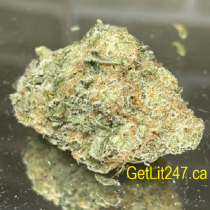 White Strawberry - Hybrid 70% Sativa / 30% Indica - THC 27%