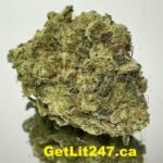 Black Ice - Hybrid 70% Indica/30% Sativa - THC 28%