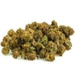 "Small Buds" Cheese Quake - Hybrid 70% Indica/30% Sativa - THC 25% - CBD 2%
