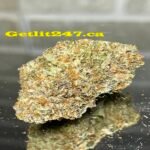 "Premium" Jack Herer - Hybrid 80% Sativa/ 20% Indica - THC 25-34%