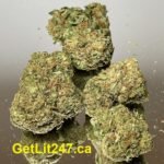 "Budget Weed" Monkey King - Hybrid 70% Indica / 30% Sativa - THC 21-28%