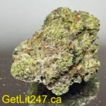 "Premium" Apple Mints - Hybrid 70% Sativa / 30% Indica - THC 28-32%