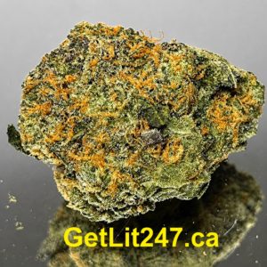 "Premium" Platinum Queen - Hybrid 70% Indica/ 30% Sativa - THC 30%