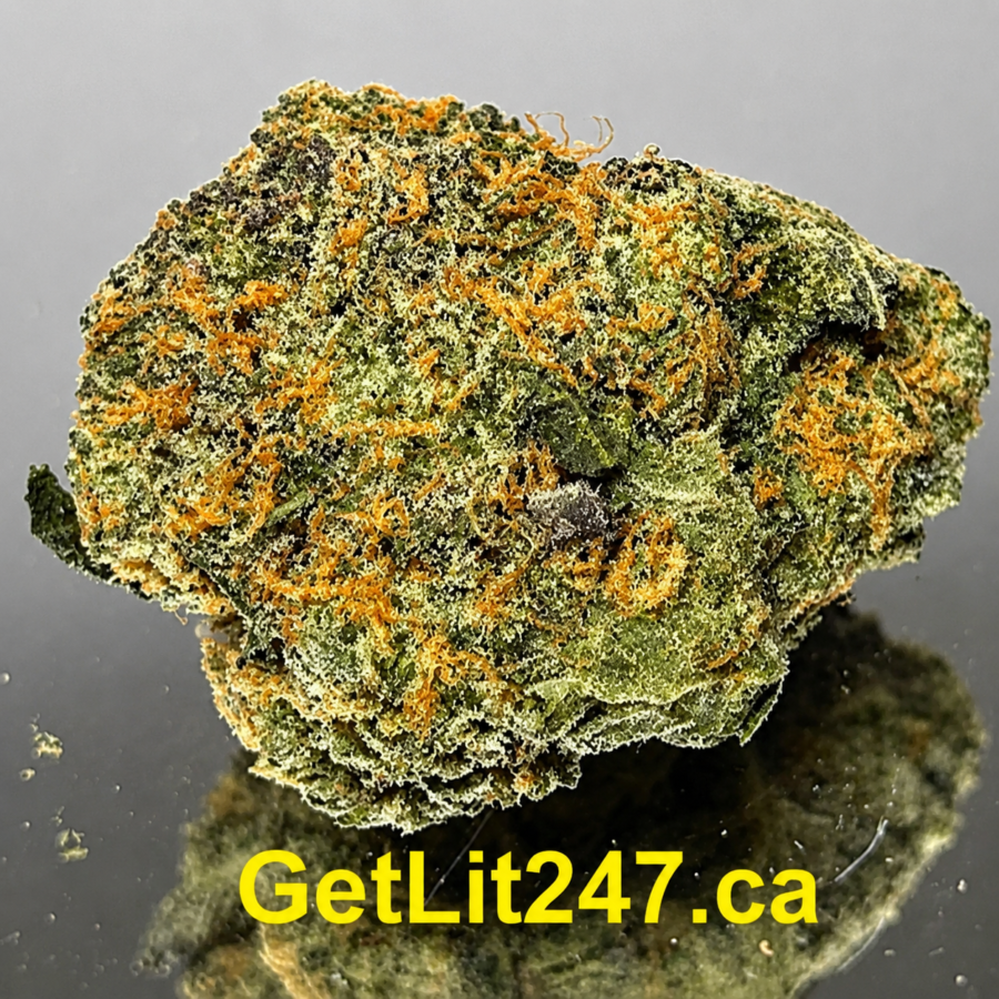 "Premium" Platinum Queen - Hybrid 70% Indica/ 30% Sativa - THC 30%