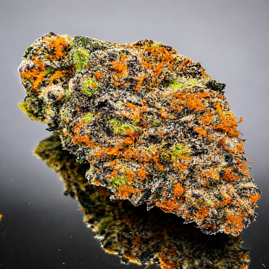 "Premium" Panama Red - Hybrid 30% Indica/ 70% Sativa - THC 29-35%