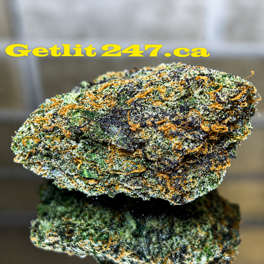"Premium Exotic" Umami Butter - Hybrid - THC 35-38%